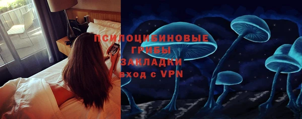 ПСИЛОЦИБИНОВЫЕ ГРИБЫ Новодвинск