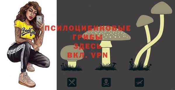 тгк Бикин