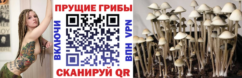 Галлюциногенные грибы мицелий  мориарти состав  Фрязино 