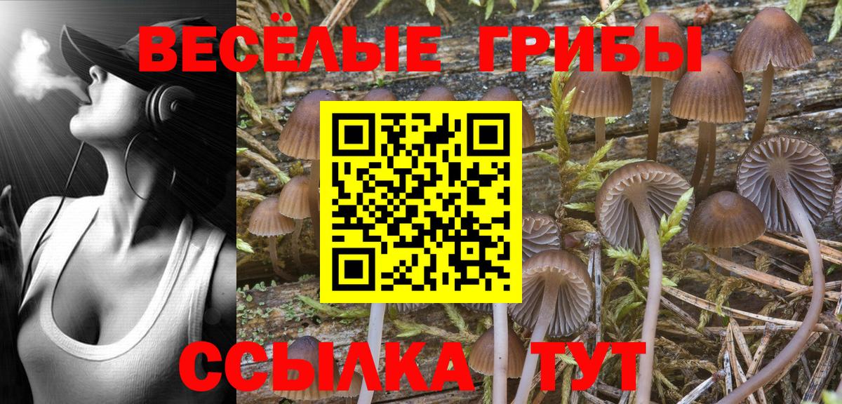 Фрязино  МАРИХУАНА  Вход с VPN  Мефедрон  