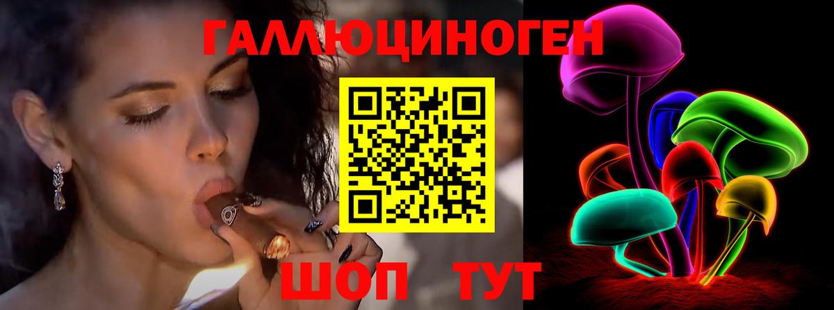 Галлюциногенные грибы Cubensis  Псилоцибиновые грибы MAGIC MUSHROOMS  Вход с VPN  Фрязино 