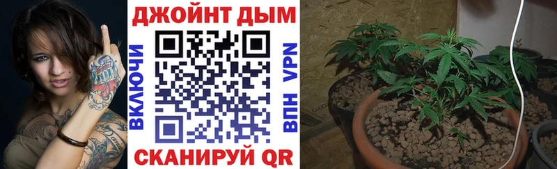 Конопля Ganja  купить  цена  Фрязино 