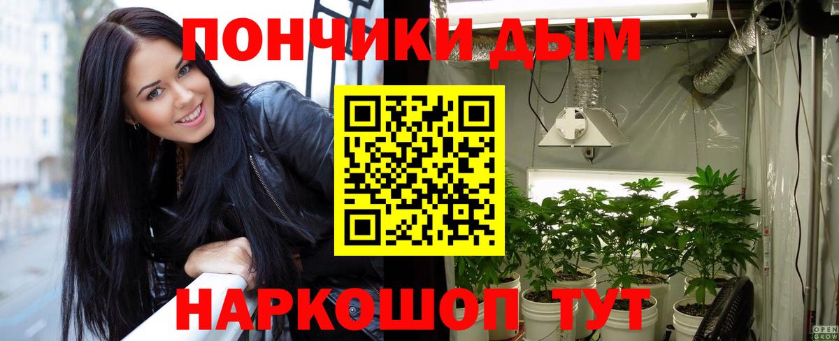 МАРИХУАНА планчик Фрязино